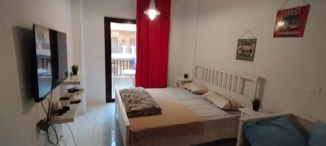 Apartament Turtles *
